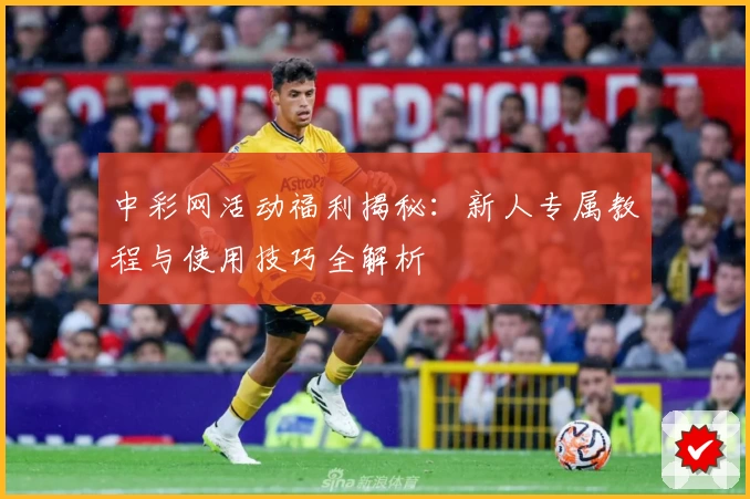 中彩网活动福利揭秘：新人专属教程与使用技巧全解析