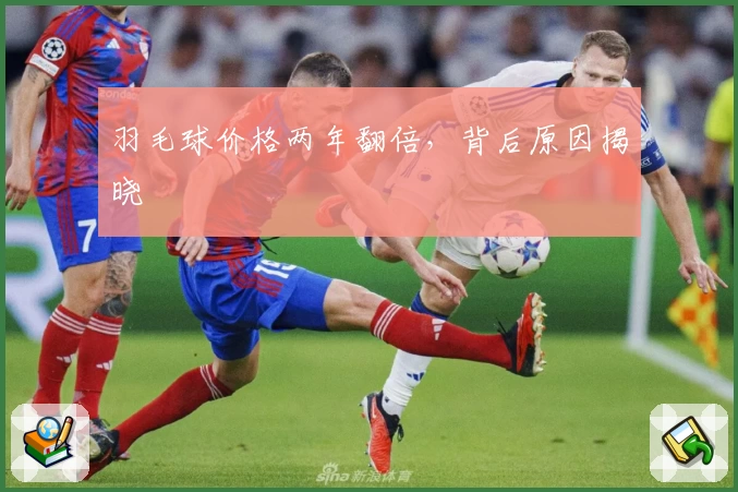 羽毛球价格两年翻倍,背后原因揭晓
