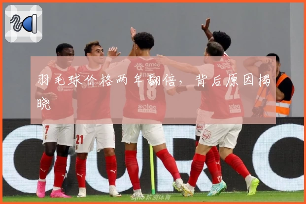 羽毛球价格两年翻倍，背后原因揭晓