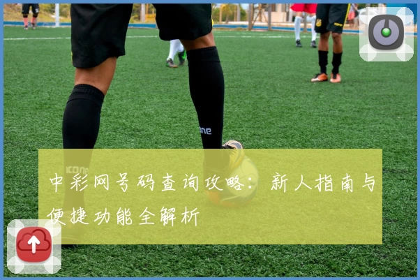 中彩网号码查询攻略：新人指南与便捷功能全解析
